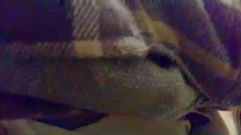 cumtowa online show from June 17, 12:13 am