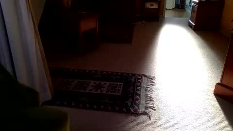 cumonherguys online show from October 28, 8:29 am