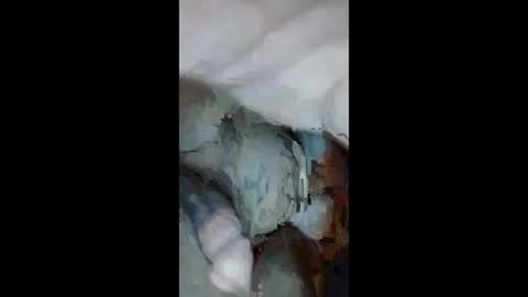 Snapshot of cumsinmealot chatting on September 23, 10:51 am Aprilia online show from September 23, 10:51 am