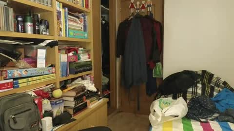 curiosillo1983 online show from April 19, 10:45 pm