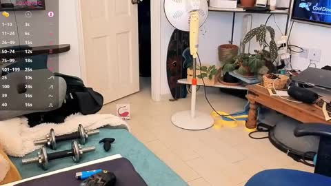 curiousgenie online show from April 20, 11:02 am