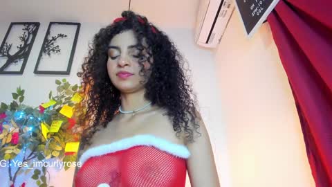 Snapshot of curlyrose_ chatting on December 24, 11:55 pm Rose online show from December 24, 11:55 pm