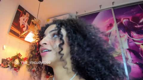 Snapshot of curlyrose_ chatting on December 31, 3:23 am Rose online show from December 31, 3:23 am