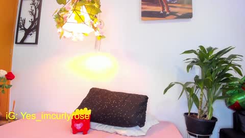 Snapshot of curlyrose_ chatting on January 28, 8:04 pm Rose online show from January 28, 8:04 pm