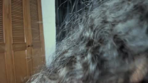 curvypornxxx online show from January 24, 10:43 am