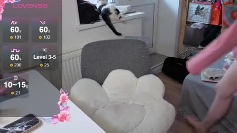 Alice  online show from October 22, 10:04 am