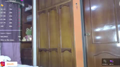 Sophia online show from January 19, 11:32 pm