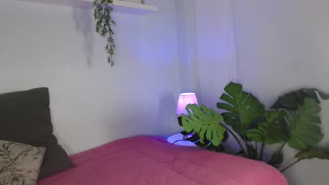 Laura online show from February 10, 11:36 am