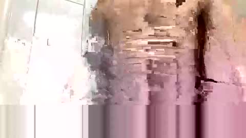 cvc2025 online show from November 10, 12:20 am