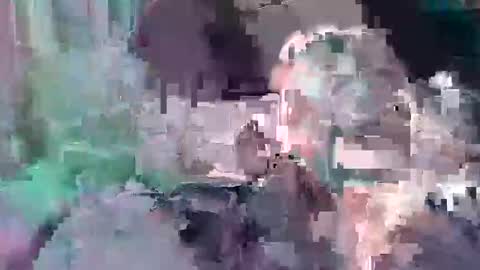 Snapshot of d857813 chatting on January 23, 5:31 pm B dickkReallyyFck online show from January 23, 5:31 pm