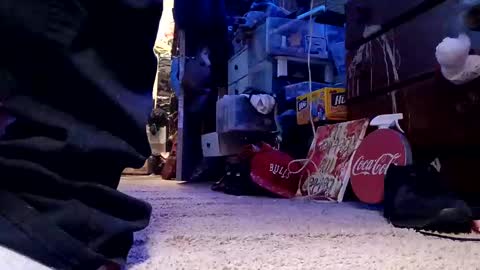 dabangaz4life online show from December 4, 5:49 am