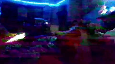 dabangaz4life online show from December 7, 8:44 am