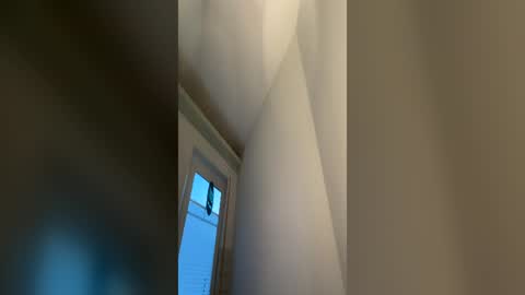 Snapshot of dachdecker7269559338 chatting on June 25, 2:55 am Dachdecker online show from June 25, 2:55 am