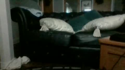 Snapshot of dadddyslilslxtxx chatting on September 17, 3:08 am cumslutangel online show from September 17, 3:08 am