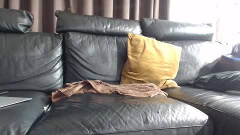Snapshot of daddy6969xxxx chatting on February 8, 7:15 am daddy6969xxxx online show from February 8, 7:15 am