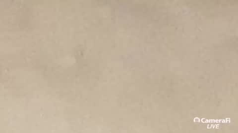 Snapshot of daddybigwhitecock chatting on September 20, 10:05 am Tommy online show from September 20, 10:05 am