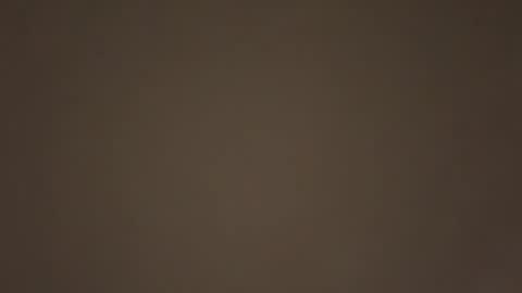 Daddy online show from January 17, 7:50 pm