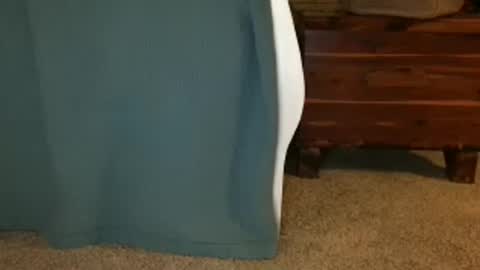 daisy June online show from October 3, 3:14 am