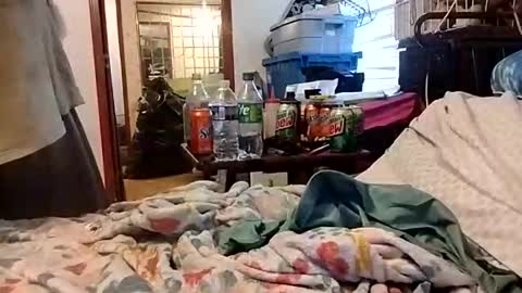 Daddyshome4115 online show from December 13, 9:20 pm