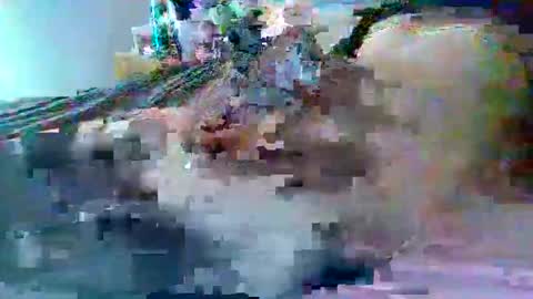 Snapshot of dafo1980 chatting on February 22, 2:59 pm dafo1980 online show from February 22, 2:59 pm