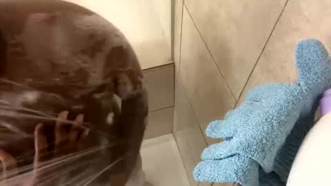 dafoxxx876 online show from November 24, 8:03 am