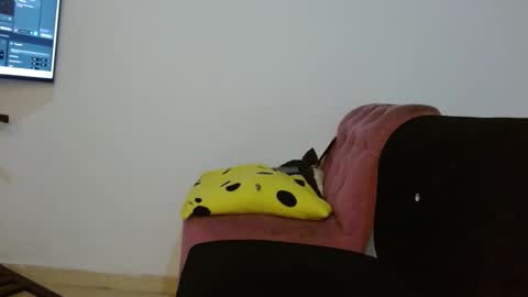 Daiisha.. online show from April 18, 8:07 am