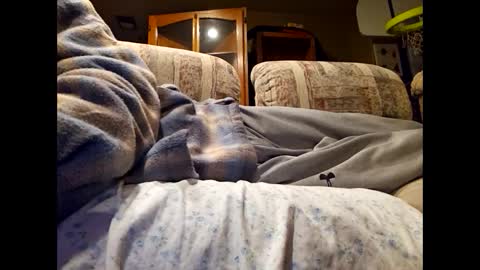 Snapshot of dailyjerker84 chatting on March 1, 6:13 am DailyJerker84 online show from March 1, 6:13 am