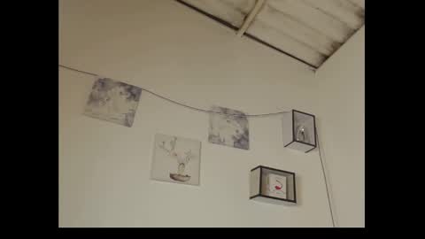 Daisy online show from February 10, 1:14 am