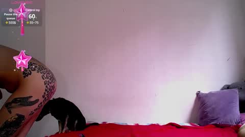 Dakota and Aron online show from December 5, 7:06 pm