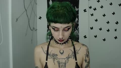 dakota online show from December 7, 2:42 am