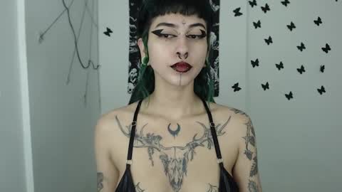 dakota online show from January 8, 9:10 am