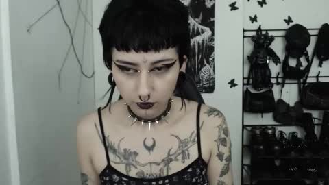 dakota online show from November 22, 4:33 am