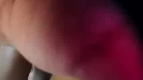 dakotaholand online show from December 5, 6:33 am