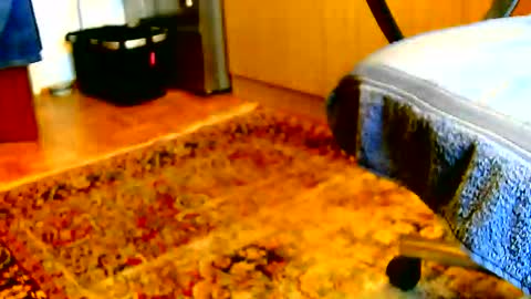 Snapshot of dammerl6 chatting on December 2, 1:17 pm Dammerl online show from December 2, 1:17 pm