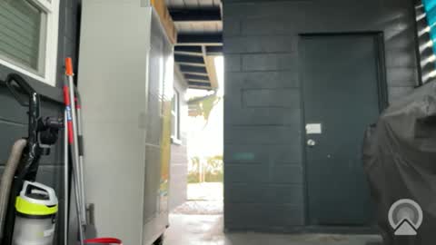 Clyde online show from November 9, 6:28 pm