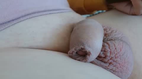 Damocles online show from September 11, 12:16 pm