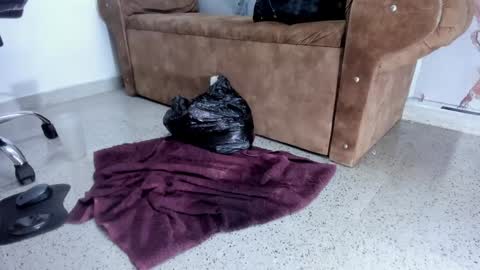 Danaa Rey online show from February 5, 2:26 pm