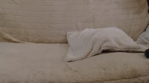 Daniella online show from January 27, 11:00 am