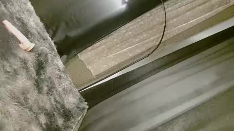 Nica online show from September 10, 8:25 am