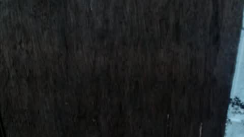 Nica online show from October 2, 8:54 am