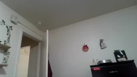 Dani online show from February 24, 1:53 pm