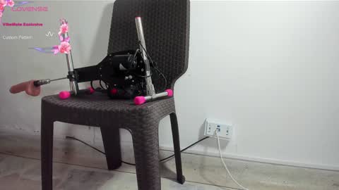 DANI online show from January 13, 1:28 pm