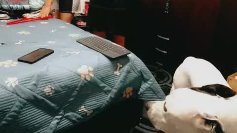 dani y jocelyn online show from February 16, 7:21 pm