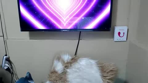 Danica online show from December 15, 3:44 am