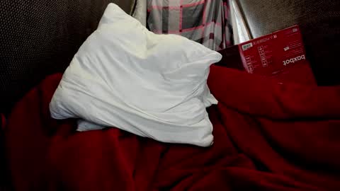 Just Ben online show from March 24, 1:27 pm