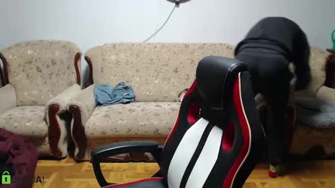 Snapshot of daniel_padalecki chatting on February 9, 5:11 pm Daniel online show from February 9, 5:11 pm