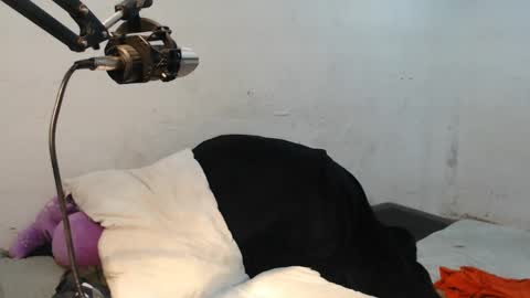 Snapshot of danielitopapii chatting on December 13, 6:49 pm danielitopapii online show from December 13, 6:49 pm