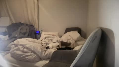 daniellealexa online show from June 27, 9:58 am