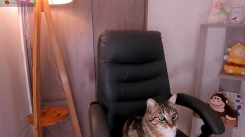 Snapshot of daniellerose_ chatting on November 2, 8:22 pm Danielle Rose online show from November 2, 8:22 pm