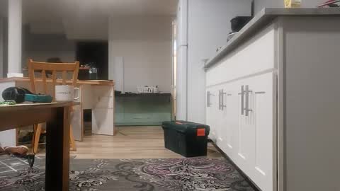 danimal5000 online show from November 18, 4:00 pm